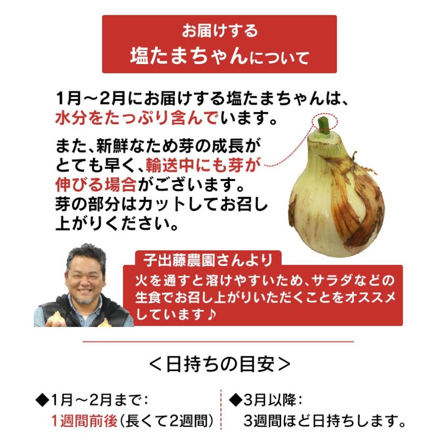 玉ねぎ 5kg 送料無料 塩たまちゃん たまねぎ 送料無料 3月中旬より順次出荷 新玉ねぎ 新玉 玉葱 タマネギ 農家直送 大嶌屋 おおしまや おいしさ直送 熊本おおしま屋 通販 Yahoo ショッピング
