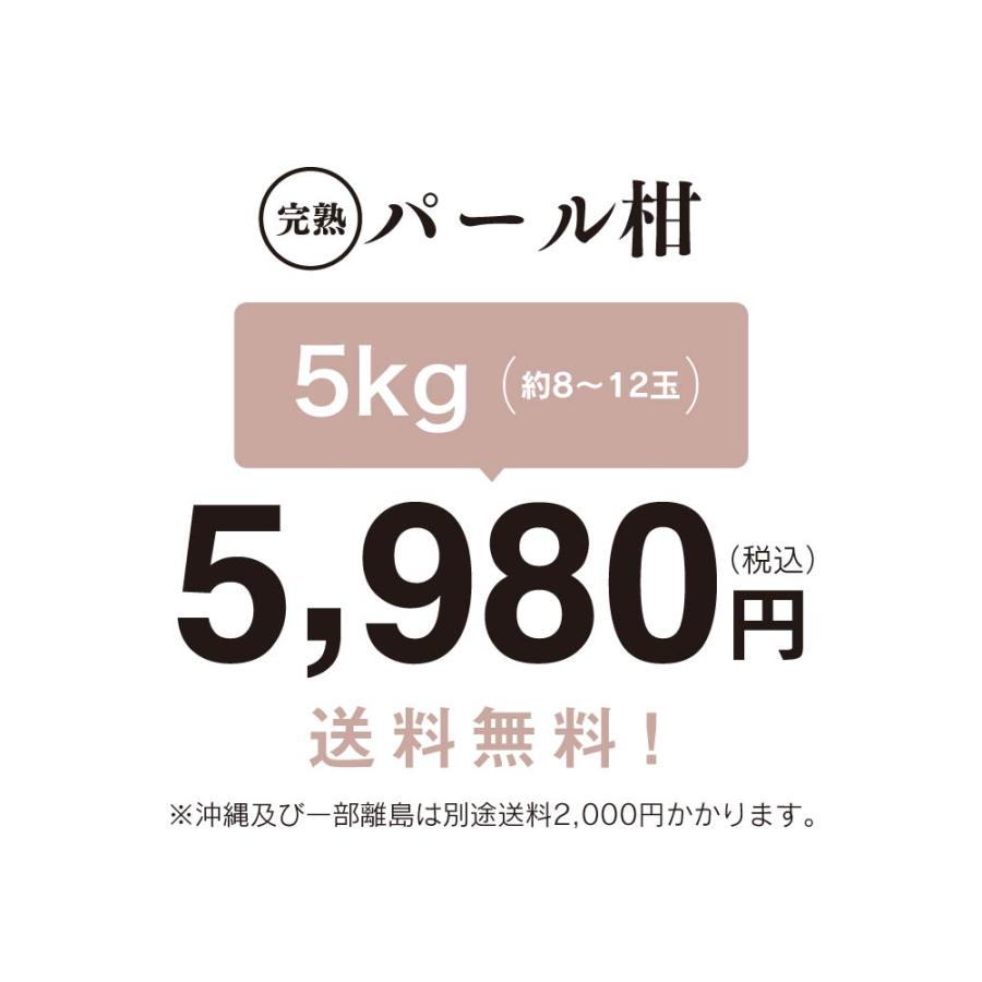 パール柑  送料無料 ＜2月上旬より出荷予定＞ 5kg 文旦 ざぼん ザボン 熊本 柑橘 みかん 柑橘 フルーツ 果物  大嶌屋（おおしまや）｜oshimaya-1991｜03