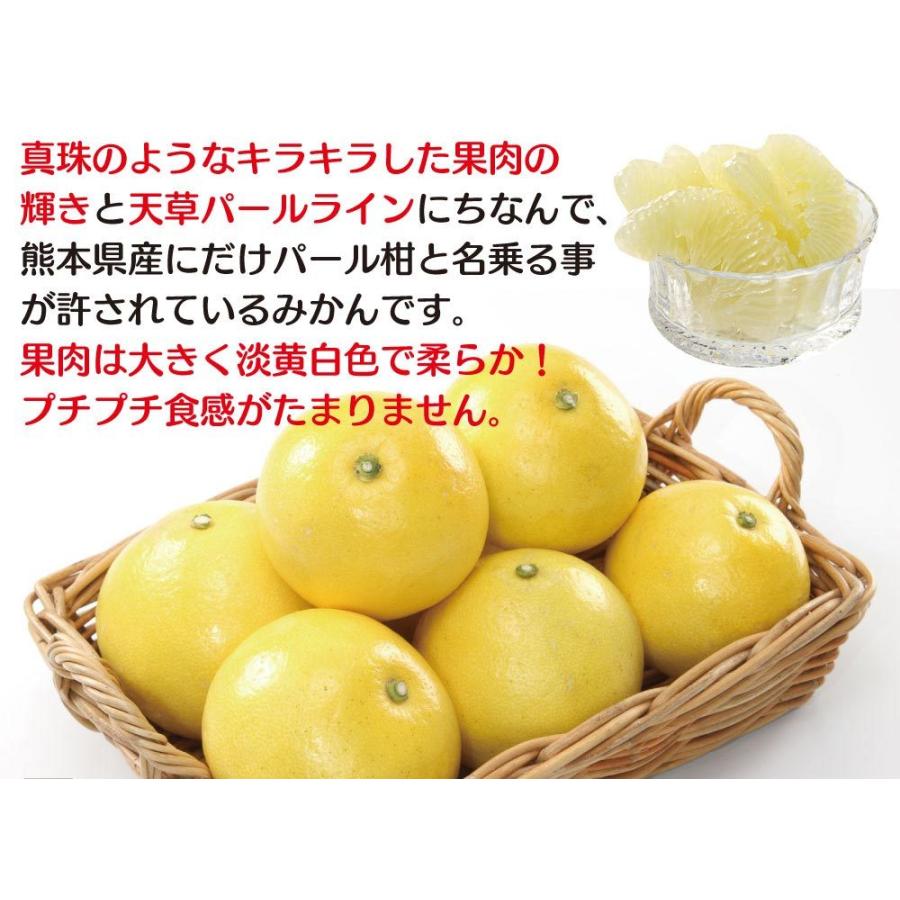 パール柑 送料無料 1月下旬より出荷 5kg 文旦 ざぼん ザボン 熊本 柑橘 みかん 柑橘 フルーツ 果物 大嶌屋 おおしまや おいしさ直送 熊本おおしま屋 通販 Yahoo ショッピング