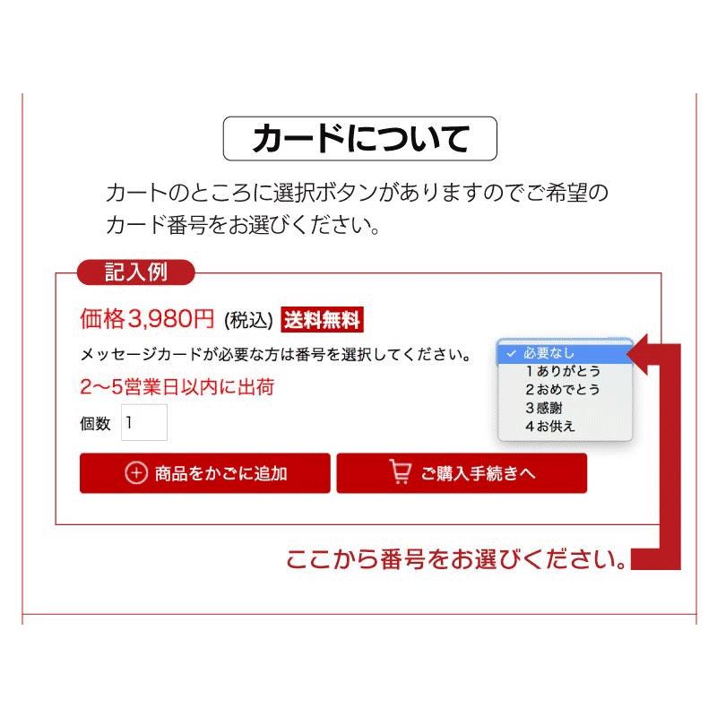 母の日 カステラ 送料無料 2箱 和菓子 長崎カステラ ザラメカステラ ざらめカステラ 2024 お礼 お祝い ギフト スイーツ｜oshimaya-1991｜12