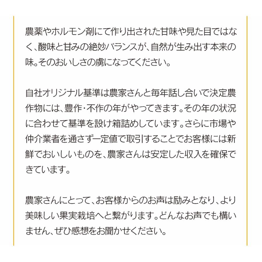 フルーツギフトセット 旬果4種詰め合わせ 彩 いろどり 送料無料 お礼やお祝いプレゼントに果物詰め合わせ 大嶌屋 おおしまや おいしさ直送 熊本おおしま屋 通販 Yahoo ショッピング