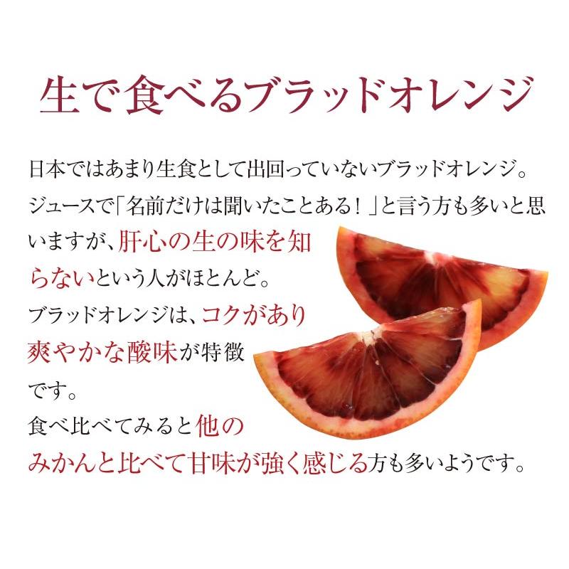 ブラッドオレンジ モロ種 送料無料 国産 熊本 3kg 大小混合 ＜2025年2