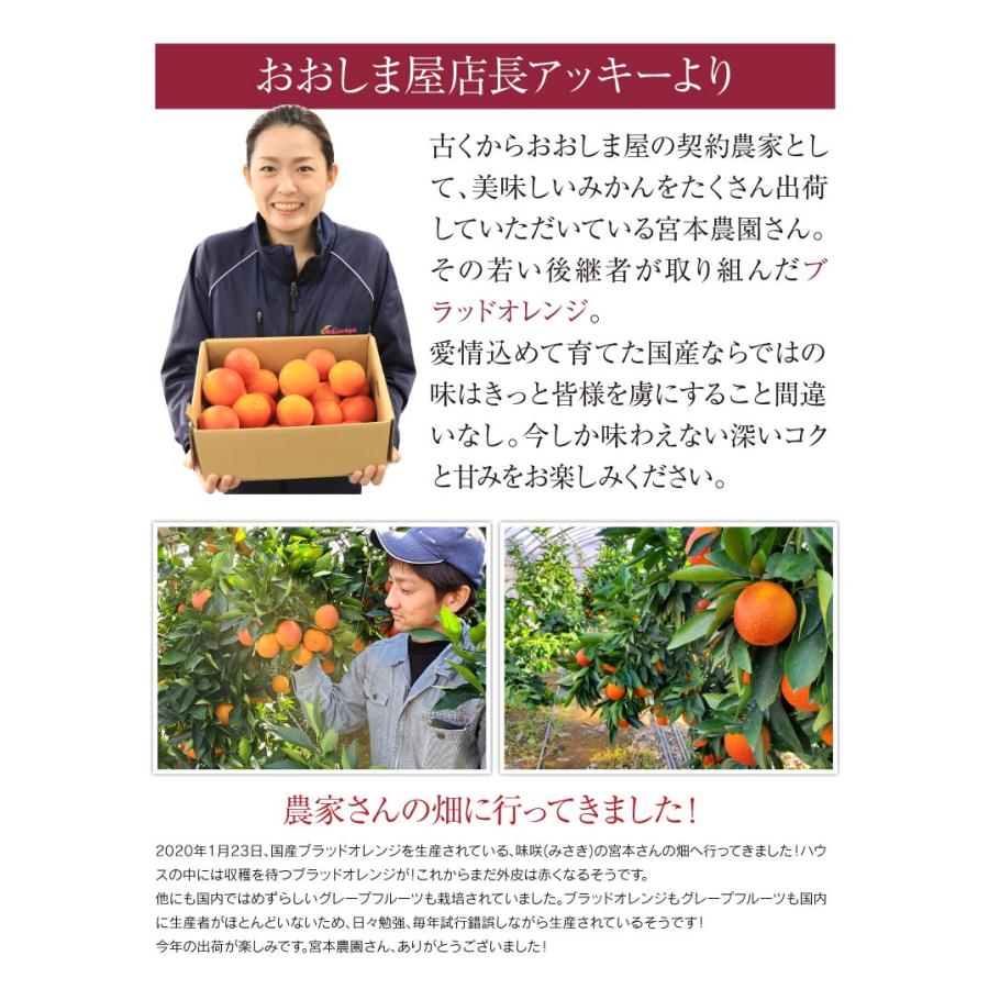 ブラッドオレンジ モロ種 送料無料 国産 熊本 3kg 大小混合 ＜2025年2