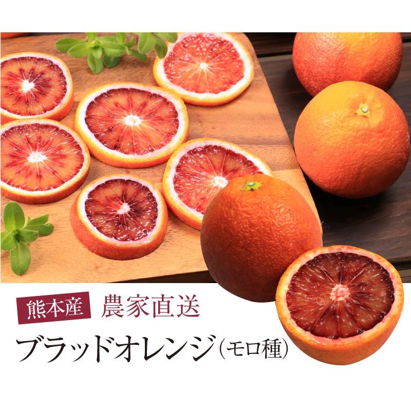 ブラッドオレンジ モロ種 送料無料 国産 熊本 3kg 大小混合 ＜2025年2