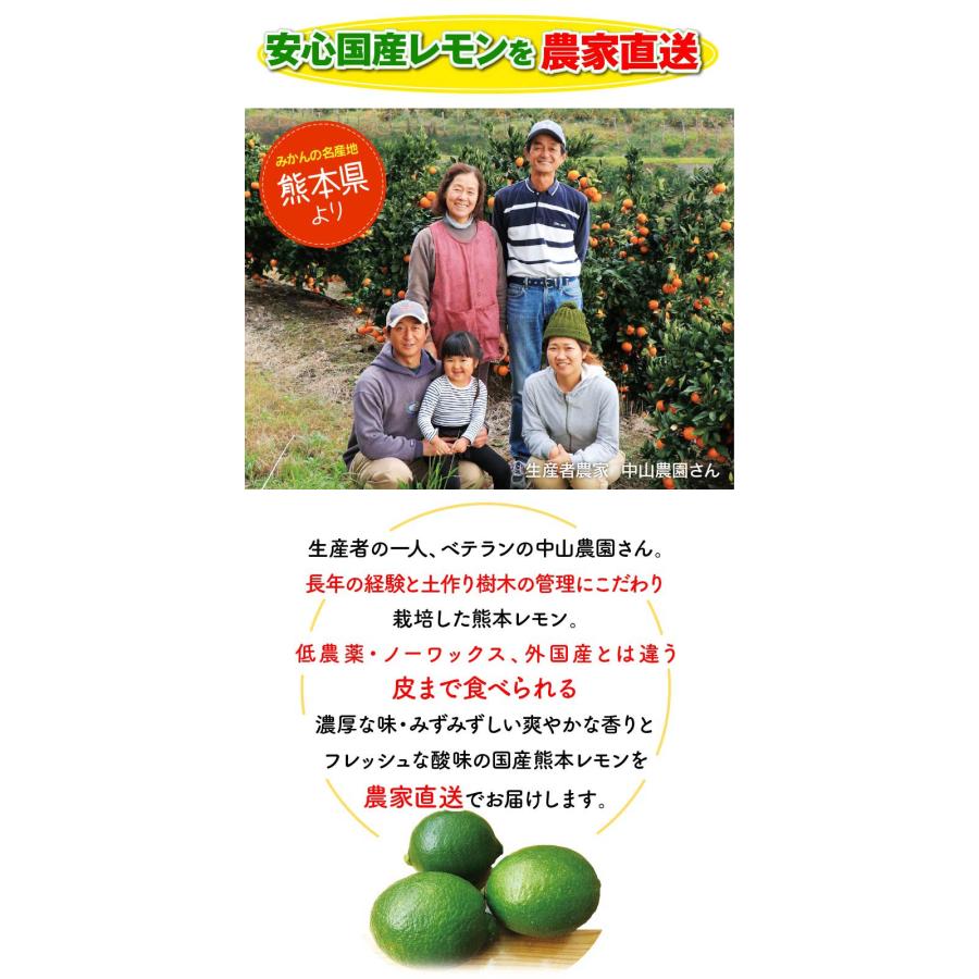 松本 レモンとマイヤーレモン　瀬戸内産無農薬栽培　10k箱入り マイヤーレモン 和歌山県和歌山 観音山フルーツガーデン 【公式通販】