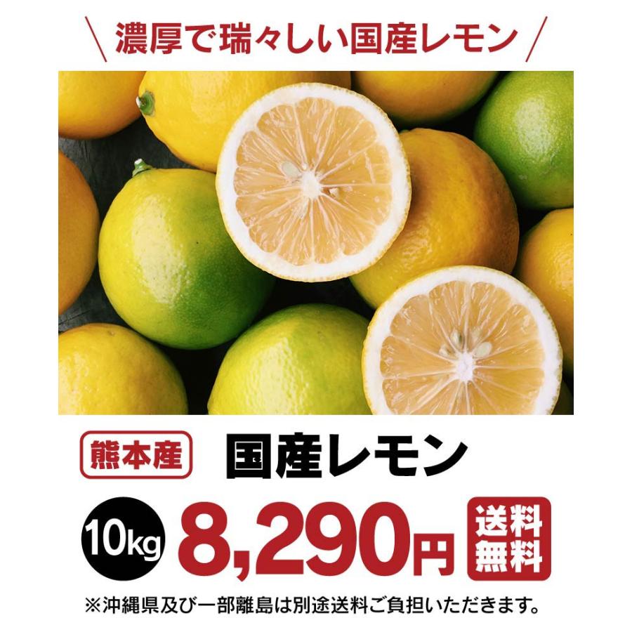 マイヤーレモン 国産 10kg 送料無料 ＜9月下旬頃より出荷開始＞ 減農薬 ノーワックス 防カビ剤不使用 産地直送｜oshimaya-1991｜05