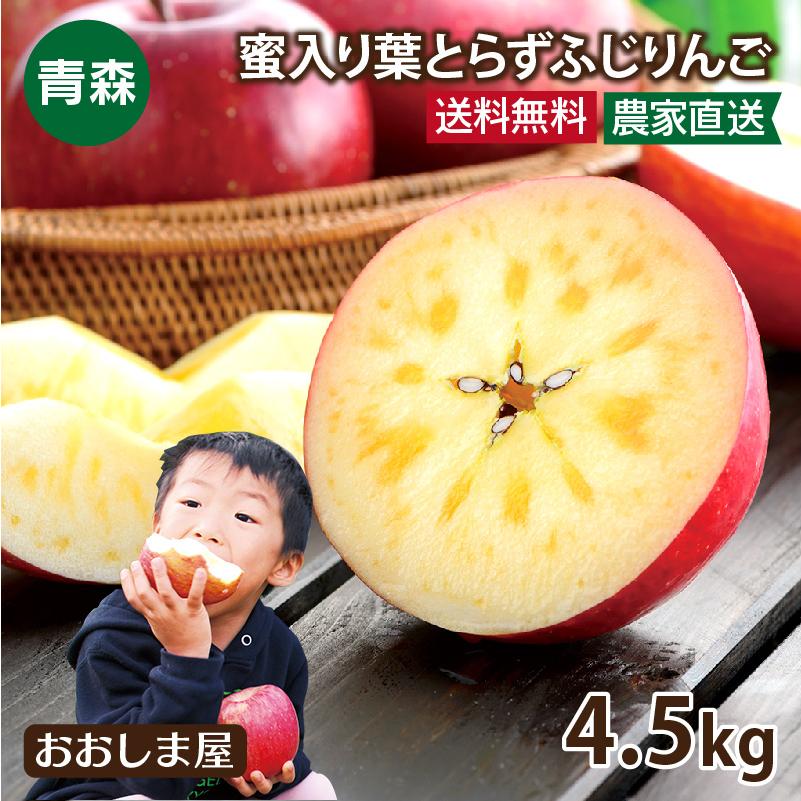 青森 蜜入り葉とらずふじりんご 送料無料 4.5kg 大小混合 （12玉-20玉