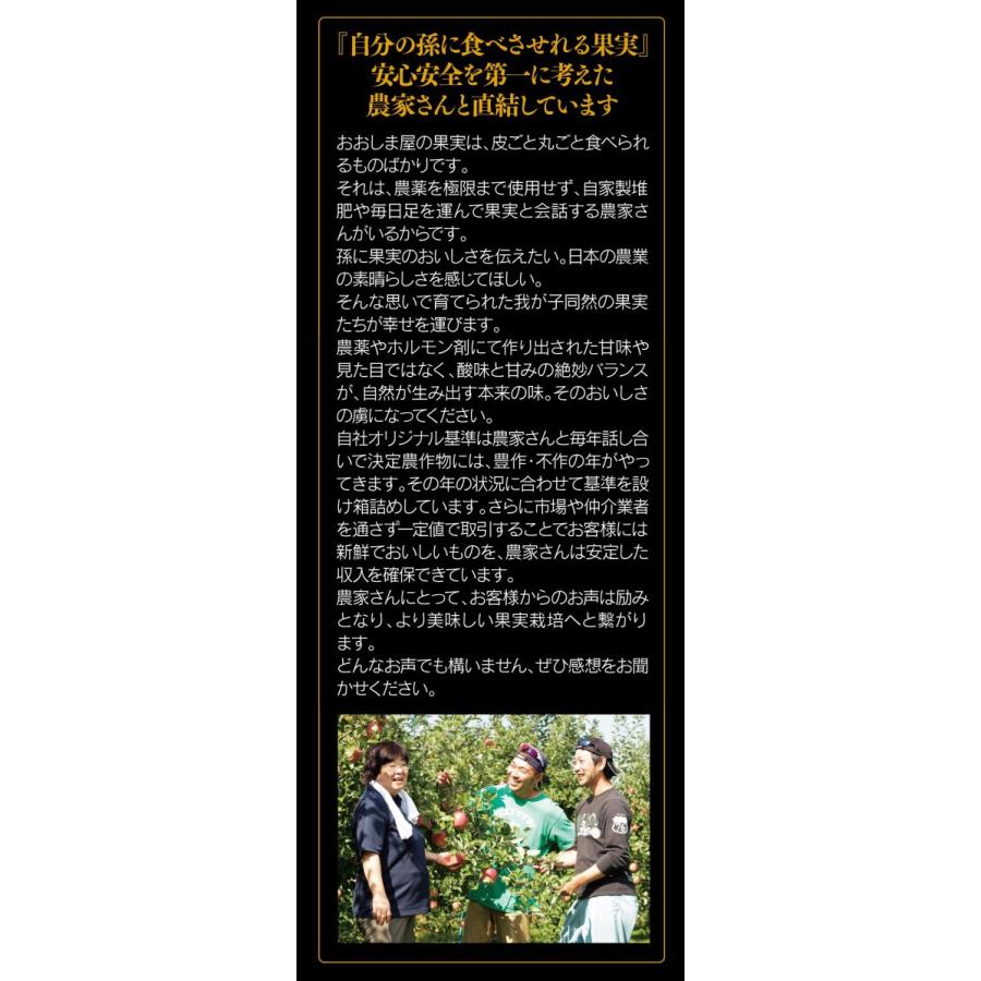 フルーツ ギフト 旬果詰め合わせ 潤 じゅん 送料無料 詰め合せ ギフトセット 冬ギフト 内祝い ギフト プレゼント 果物 食品 大嶌屋 おおしまや おいしさ直送 熊本おおしま屋 通販 Yahoo ショッピング