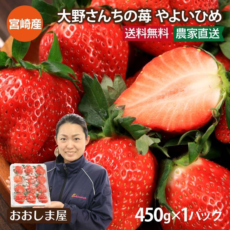 いちご 送料無料 やよいひめ 1パック イチゴ やよい姫 苺 宮崎産 いちご 送料無料 やよいひめ 1パック イチゴ やよい姫 苺 宮崎産
