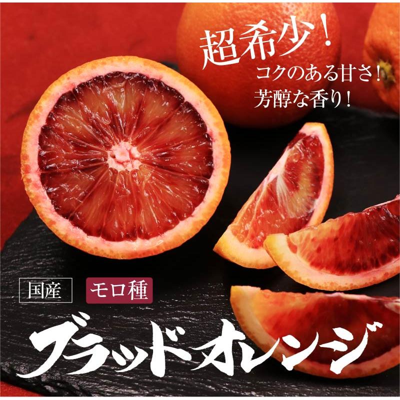 ブラッドオレンジ モロ種 送料無料 国産 熊本 1kg 大小混合 ＜2025年2