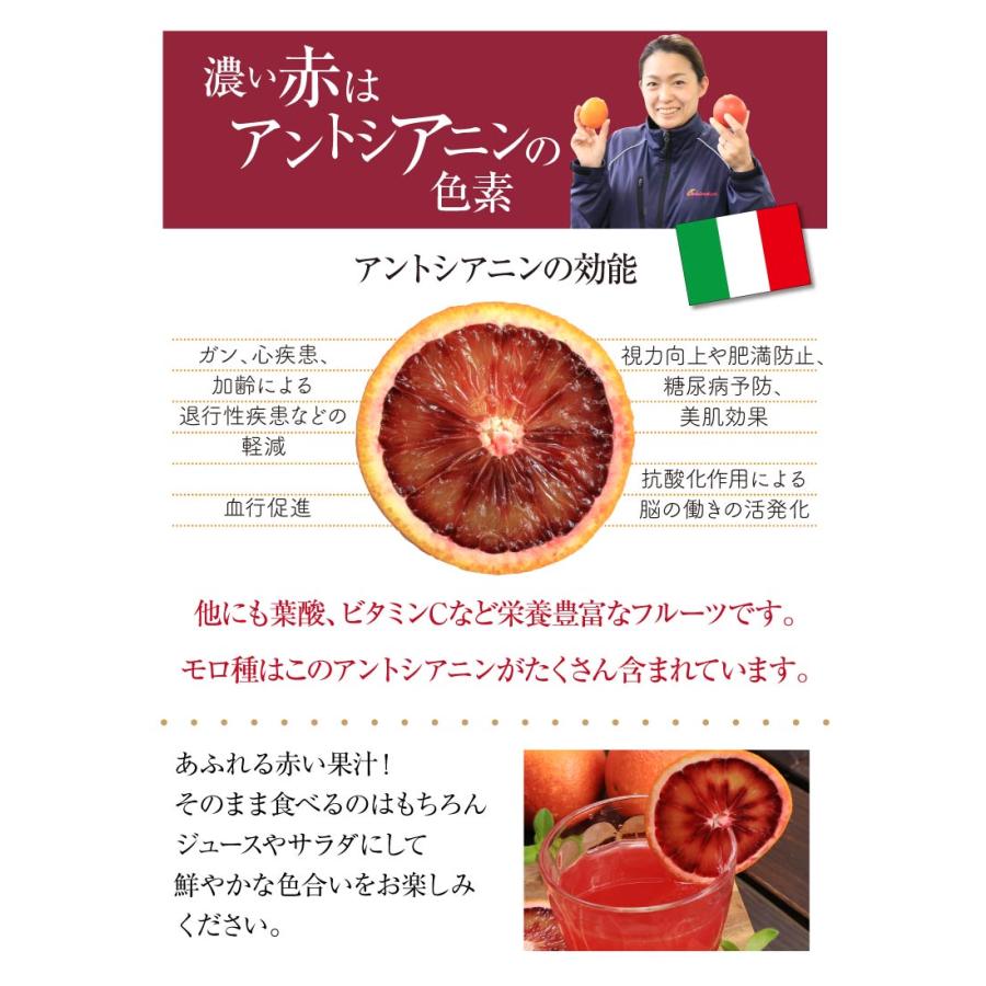 国産ブラッドオレンジ モロ 約1.5kg 15-17玉 みかん 赤秀 M 愛媛