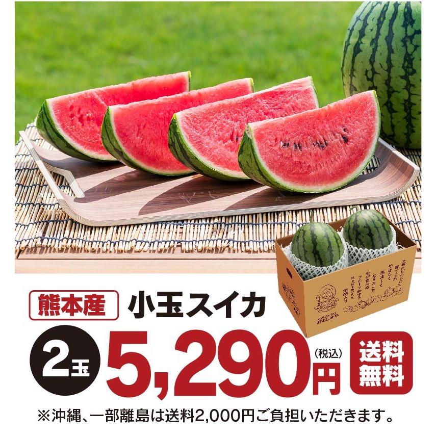 熊本産 小玉スイカ 2玉入り 送料無料 <5月上旬より順次出荷 熊本産 小玉スイカ 2玉入り 送料無料 <5月上旬より順次出荷