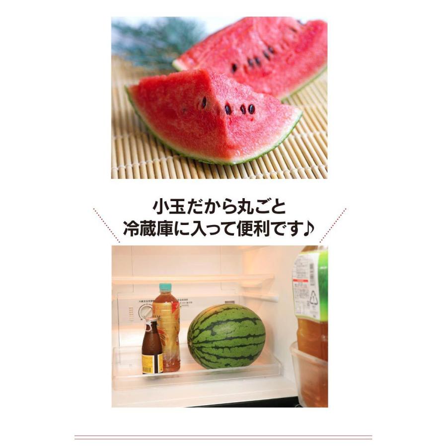熊本産 小玉スイカ １玉入り 送料無料 注文殺到につき5月中旬より順次出荷 すいか 西瓜 スイカ 農家直送 果物 フルーツ 大嶌屋 おおしまや おいしさ直送 熊本おおしま屋 通販 Yahoo ショッピング