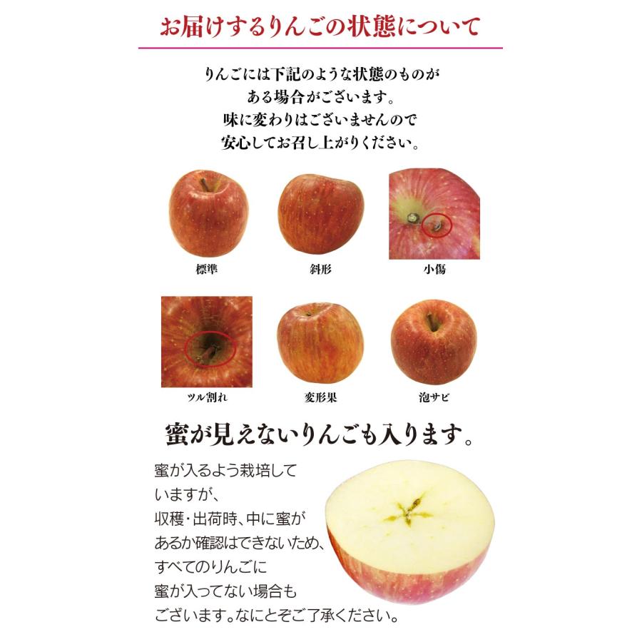 2021年度 販売終了しました＞ 【初回限定】青森 蜜入り 葉とらず ふじ