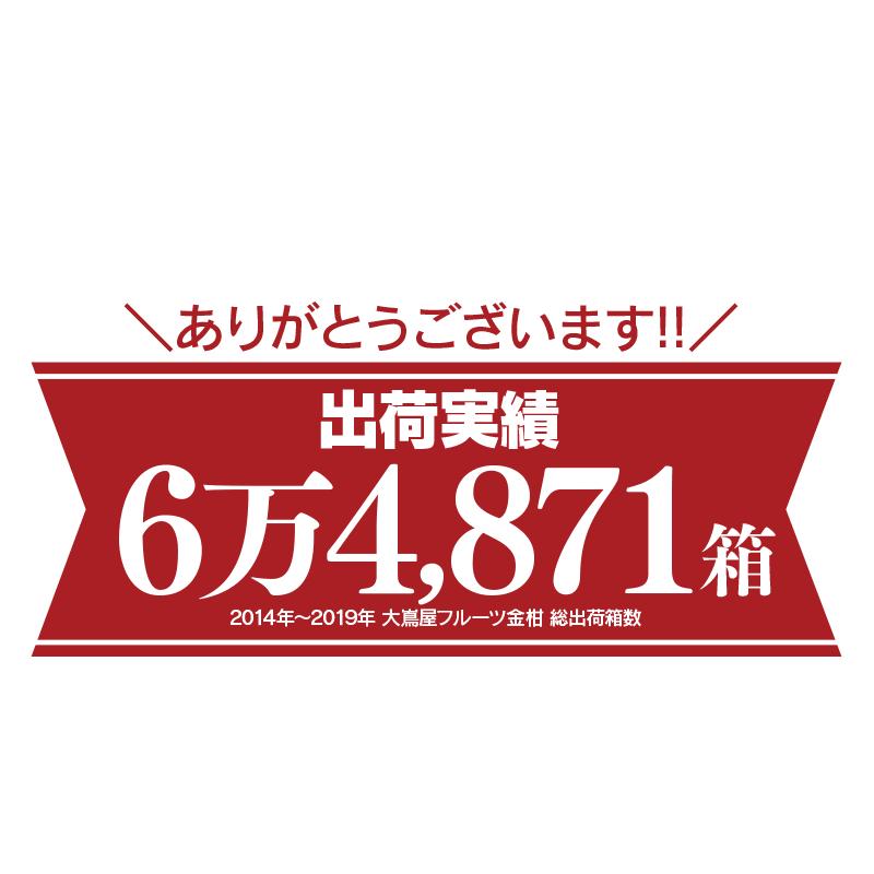 みかん 金柑 完熟 フルーツ 1.6kg 送料無料 ミカン きんかん ＜1月上旬
