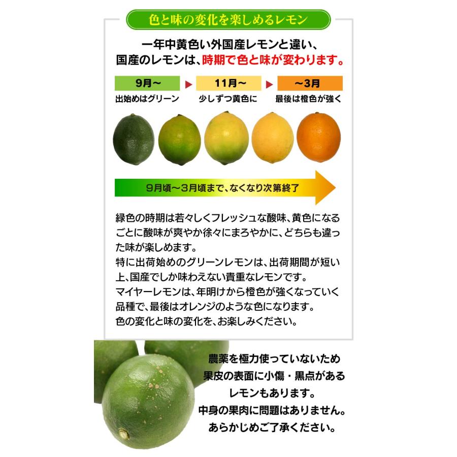 マイヤーレモン 国産 50kg 送料無料 ＜9月下旬頃より出荷開始＞ 減農薬 ノーワックス 防カビ剤不使用 産地直送｜oshimaya-1991｜04