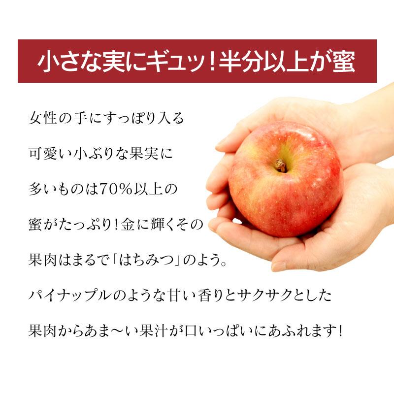 高徳りんご 2kg 約5〜10玉 送料無料 青森産 ＜12月上旬より順次出荷 ＞  農家直送 おおしまや（大嶌屋）｜oshimaya-1991｜04