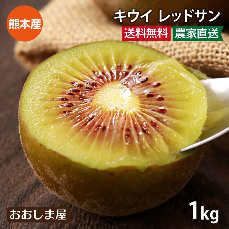 国産 キウイ レッドサン 1kg 送料無料 ＜10月中旬より順次出荷＞ 別名