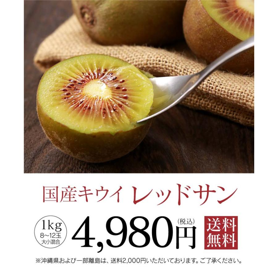 国産 キウイ レッドサン 1kg 送料無料 ＜10月中旬より順次出荷＞ 別名：レッドキウイ 紅妃 レインボー 熊本産 産地直送 農家直送｜oshimaya-1991｜10