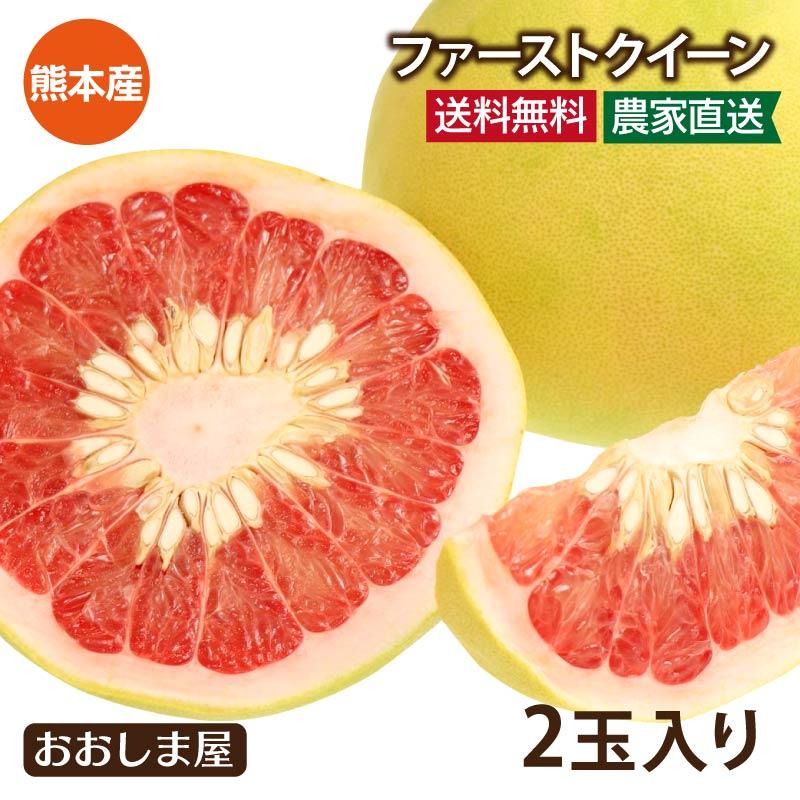 ファーストクイーン 2玉入り 送料無料（約2.4kg） 文旦 農家直送