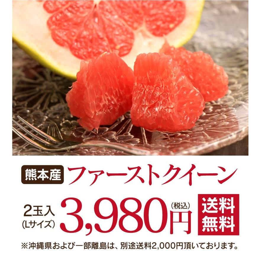 ファーストクイーン 2玉入り 送料無料（約2.4kg） 文旦 農家直送