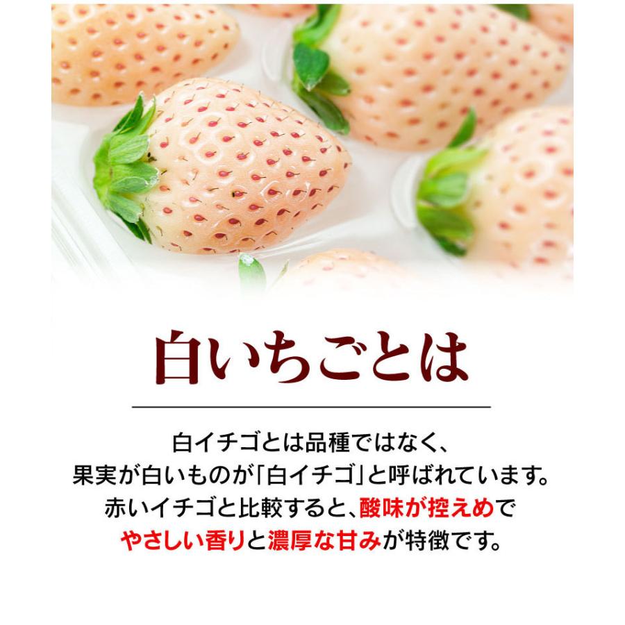 佐賀産 白いちご 淡雪 あわゆき 2パック 12月上旬より出荷予定 イチゴ 苺 果物 フルーツ 農家直送 産地直送 大嶌屋 おおしまや おいしさ直送 熊本おおしま屋 通販 Yahoo ショッピング