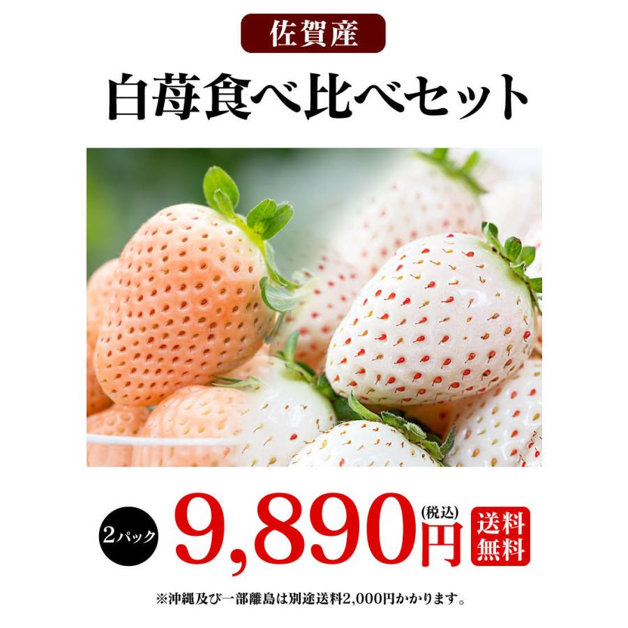 佐賀産 白いちご パールホワイト 淡雪 あわゆき 食べ比べ セット 2パック 1月上旬より出荷予定 イチゴ 苺 果物 フルーツ 農家直送 大嶌屋 おおしまや おいしさ直送 熊本おおしま屋 通販 Yahoo ショッピング