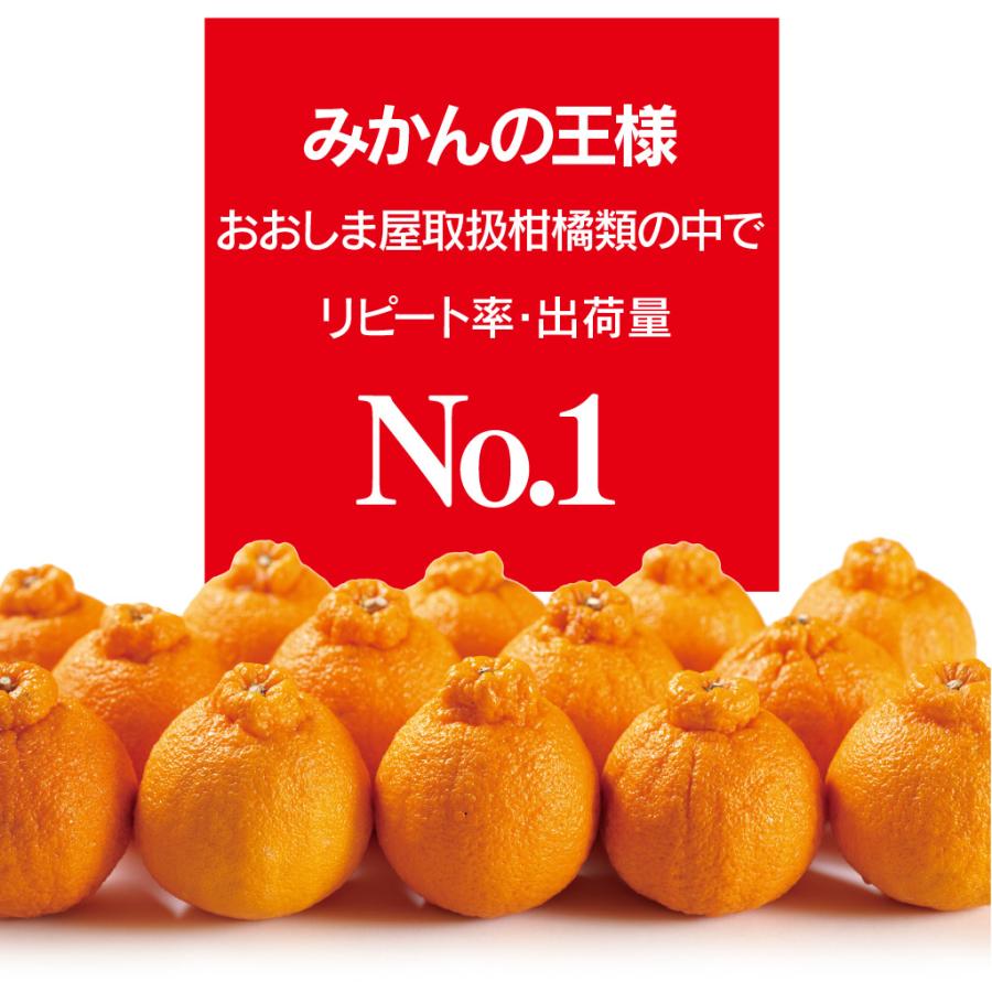 完熟 おでこちゃん 4kg 送料無料 みかん デコポン と同品種 ＜3月上旬