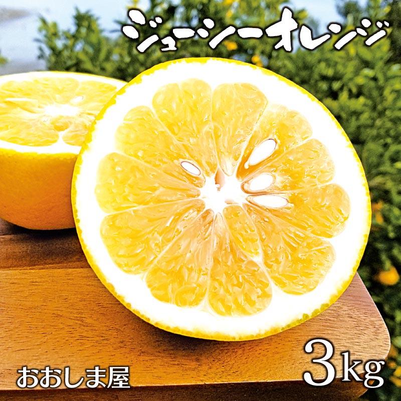 みかん ジューシーオレンジ 3kg 送料無料 ＜出荷時期4月上旬＞ 河内晩