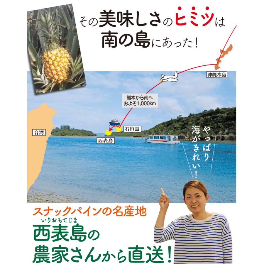 ＼34％OFF／沖縄 濃蜜スナックパイン 送料無料 パイナップル 1.6kg ＜5月上旬より順次出荷＞ ちぎって食べる ボゴールパイン 果物 フルーツ｜oshimaya-1991｜05