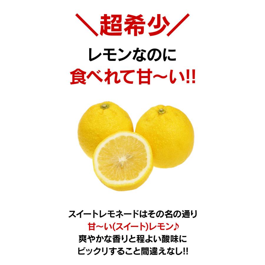 無農薬 レモン✳︎ スイートレモネード ✳︎ レモネードレモン 実