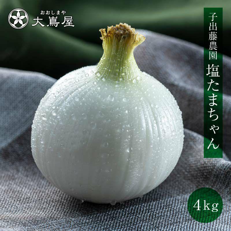 玉ねぎ 4kg 送料無料 塩たまちゃん たまねぎ ＜4月下旬より出荷予定