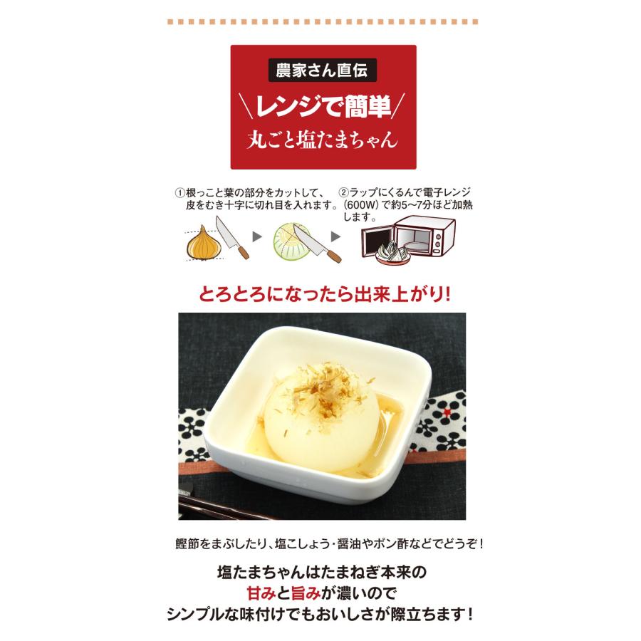 玉ねぎ 4kg 送料無料 塩たまちゃん たまねぎ ＜4月下旬より出荷予定
