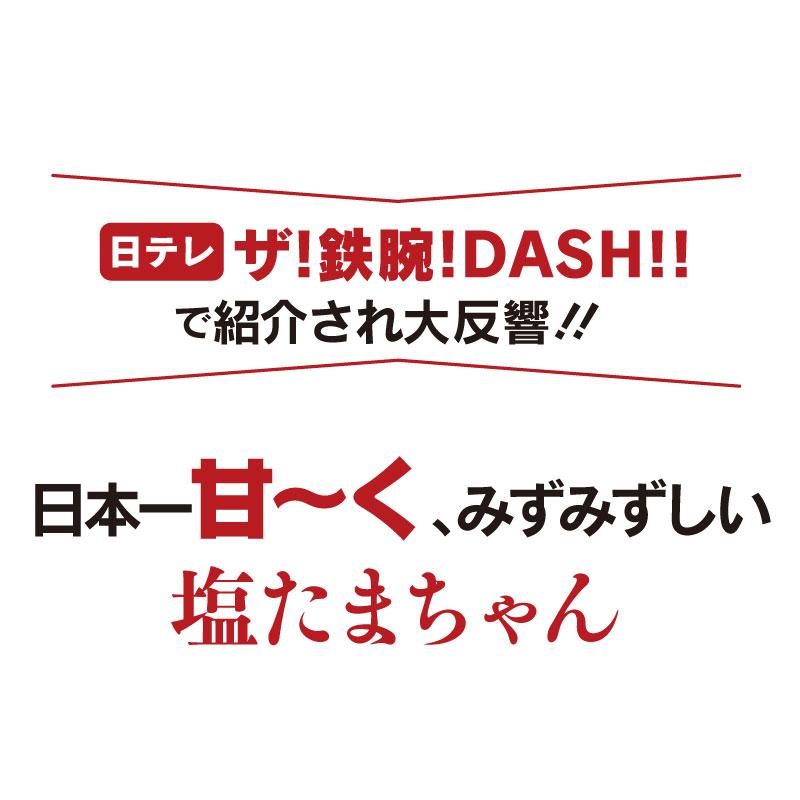 玉ねぎ 4kg 送料無料 塩たまちゃん たまねぎ ＜4月下旬より出荷予定