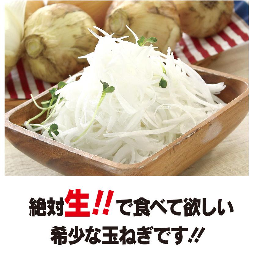 玉ねぎ 4kg 送料無料 塩たまちゃん たまねぎ ＜4月下旬より出荷予定