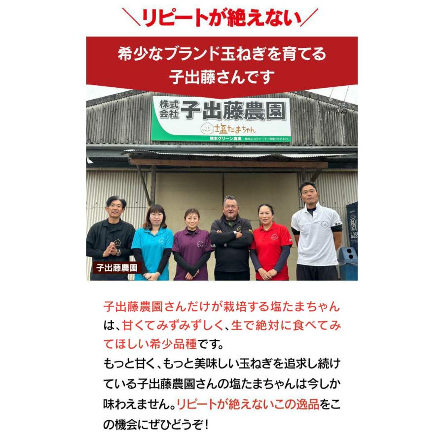 玉ねぎ 4kg 送料無料 塩たまちゃん たまねぎ ＜4月下旬より出荷予定