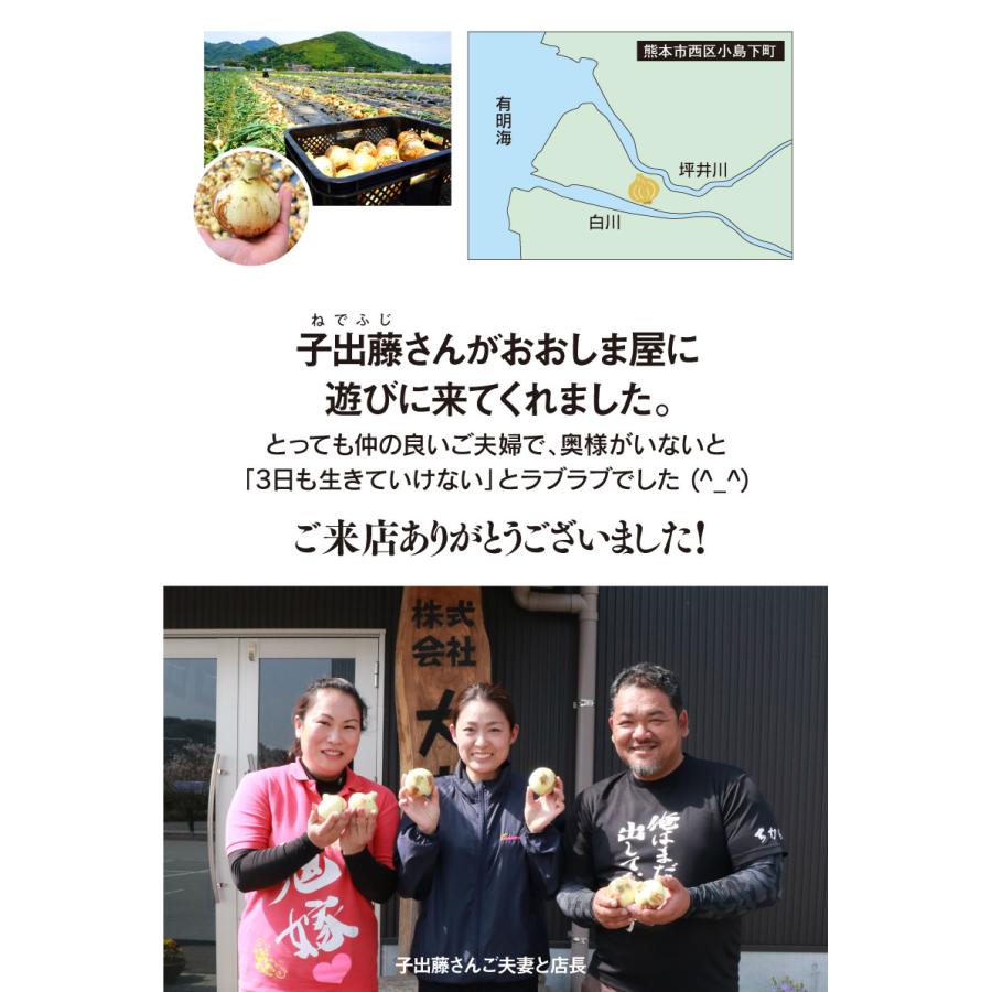 玉ねぎ 4kg 送料無料 塩たまちゃん たまねぎ ＜4月下旬より出荷予定
