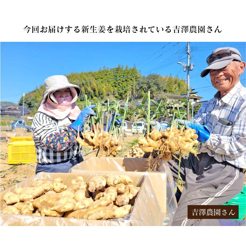 新生姜 1kg 送料無料 生姜 ショウガ しょうが 掘り立て 産地直送 農家直送 国産 野菜 食品 グルメ 大嶌屋（おおしまや）｜oshimaya-1991｜05