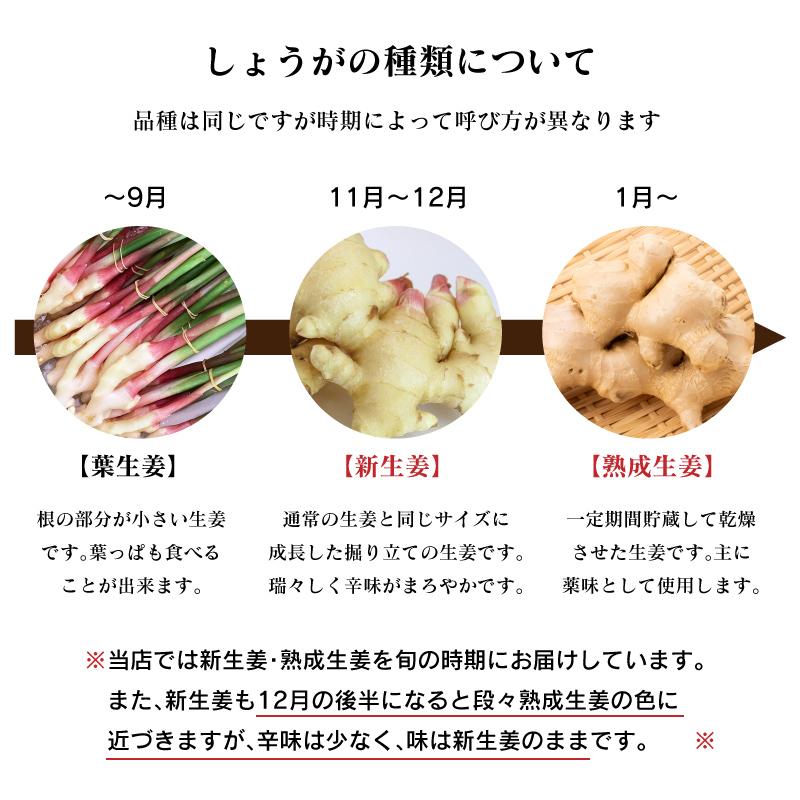生姜 3kg 送料無料 新生姜 熟成生姜 ひね生姜 ショウガ しょうが ＜1月上旬より出荷＞ 土付き 農家直送 国産 野菜 食品 グルメ 大嶌 ...