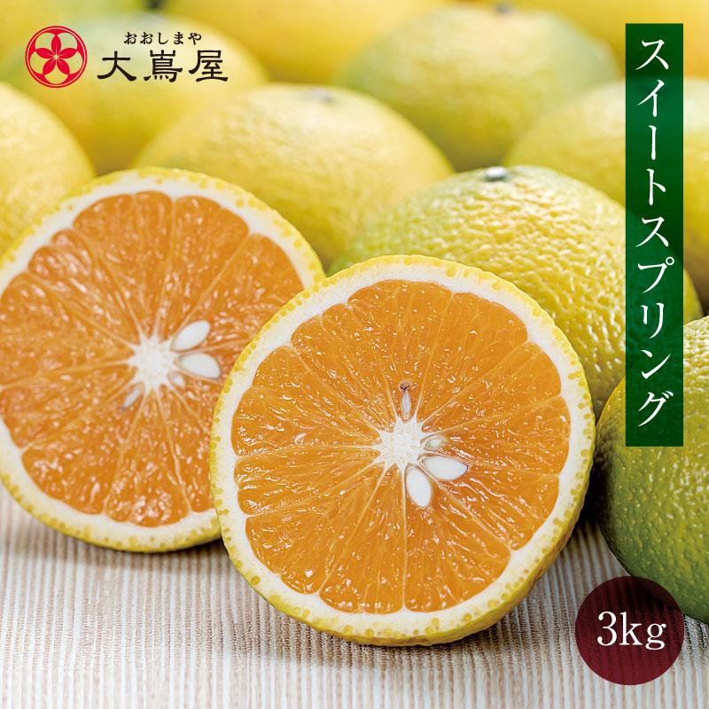みかん スイートスプリング 送料無料 3kg（約10〜15玉前後）＜12月上旬