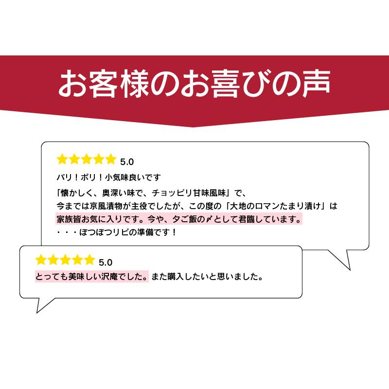 漬物 漬け物 大地の浪漫 たまり漬け 3袋 送料無料 ＜メール便＞ 1000円 代 ポイント 消化 国産 沢庵 寒干し大根 たくあん 大嶌屋｜oshimaya-1991｜06