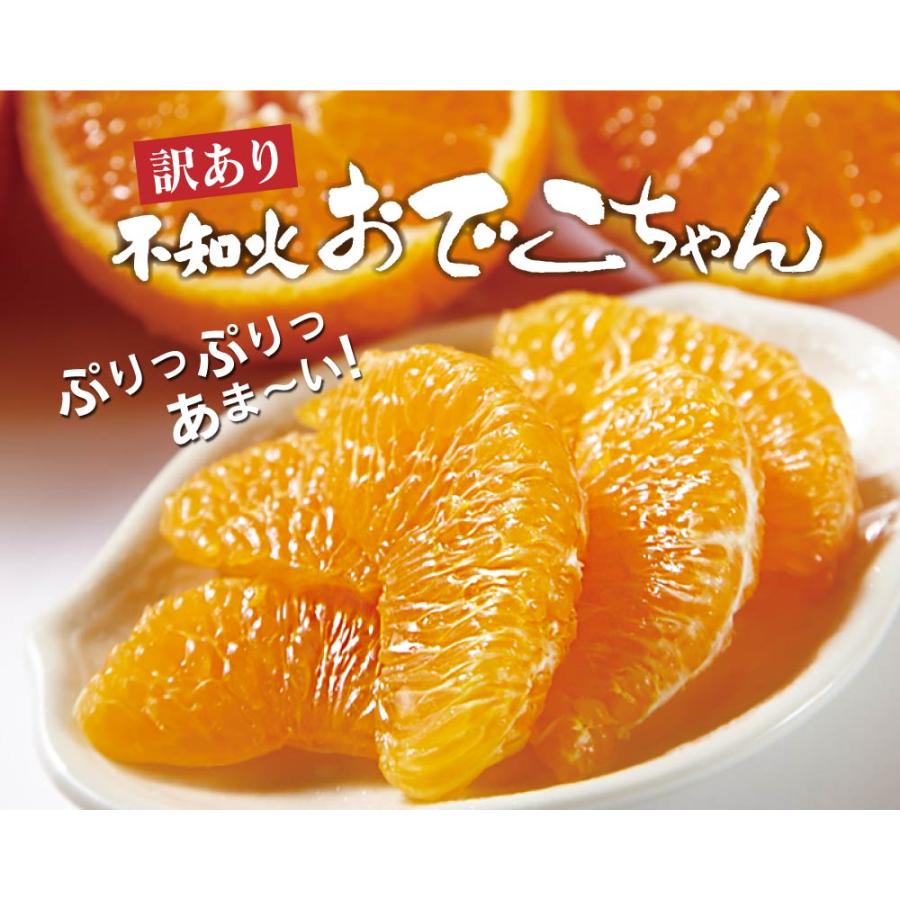 訳あり不知火おでこちゃん 2kg 送料無料 【同住所に2箱以上で 訳あり不知火おでこちゃん 2kg 送料無料 【同住所に2箱以上で