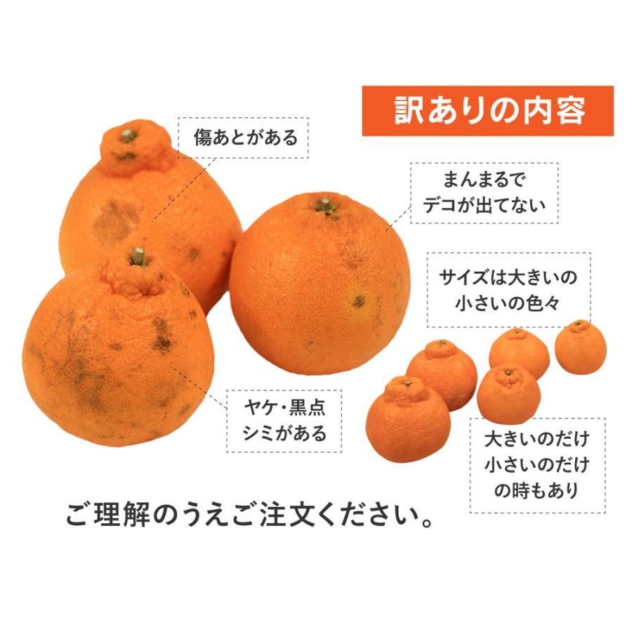 訳あり不知火おでこちゃん 2kg 送料無料 【同住所に2箱以上で 訳あり不知火おでこちゃん 2kg 送料無料 【同住所に2箱以上で