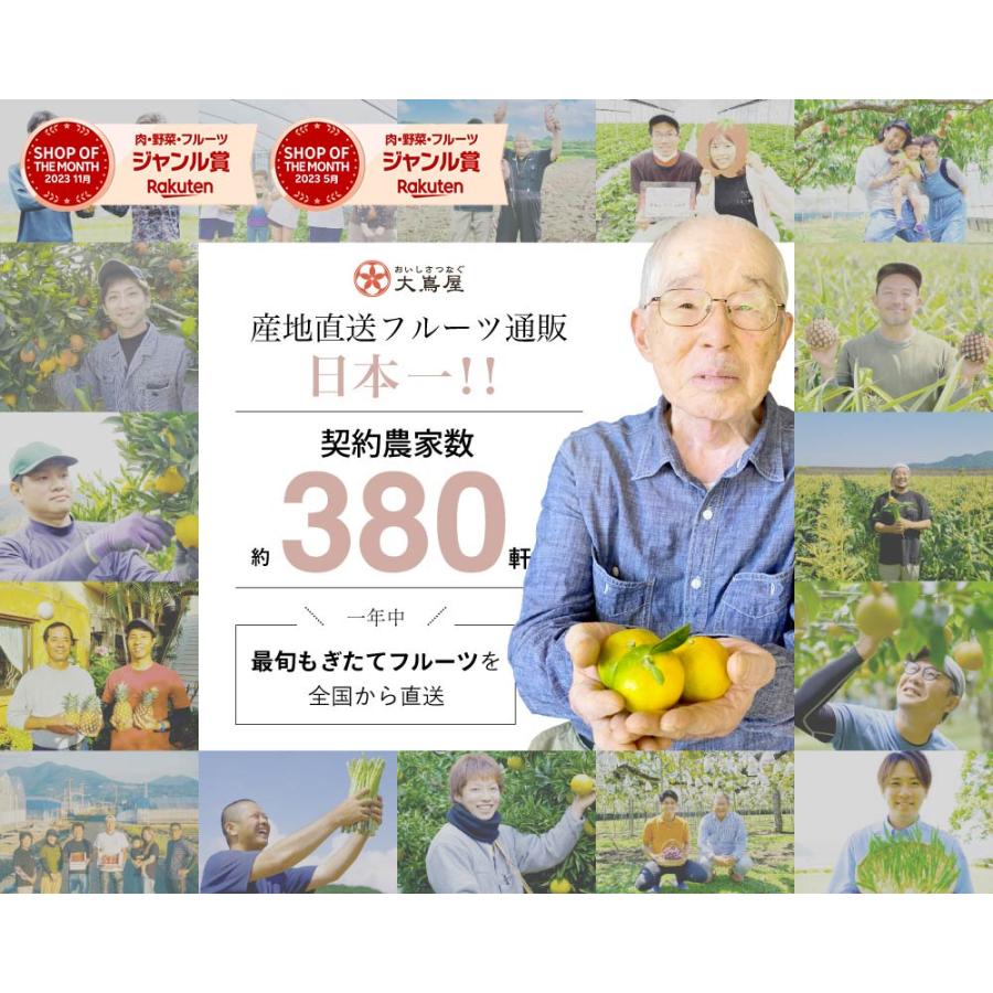 訳あり不知火おでこちゃん 2kg 送料無料 【同住所に2箱以上で 訳あり不知火おでこちゃん 2kg 送料無料 【同住所に2箱以上で