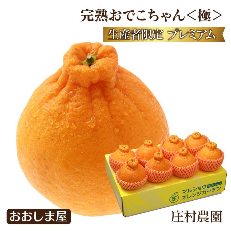 不知火 完熟 おでこちゃん ＜極み＞ 約3kg 送料無料 ＜2026年2月中旬