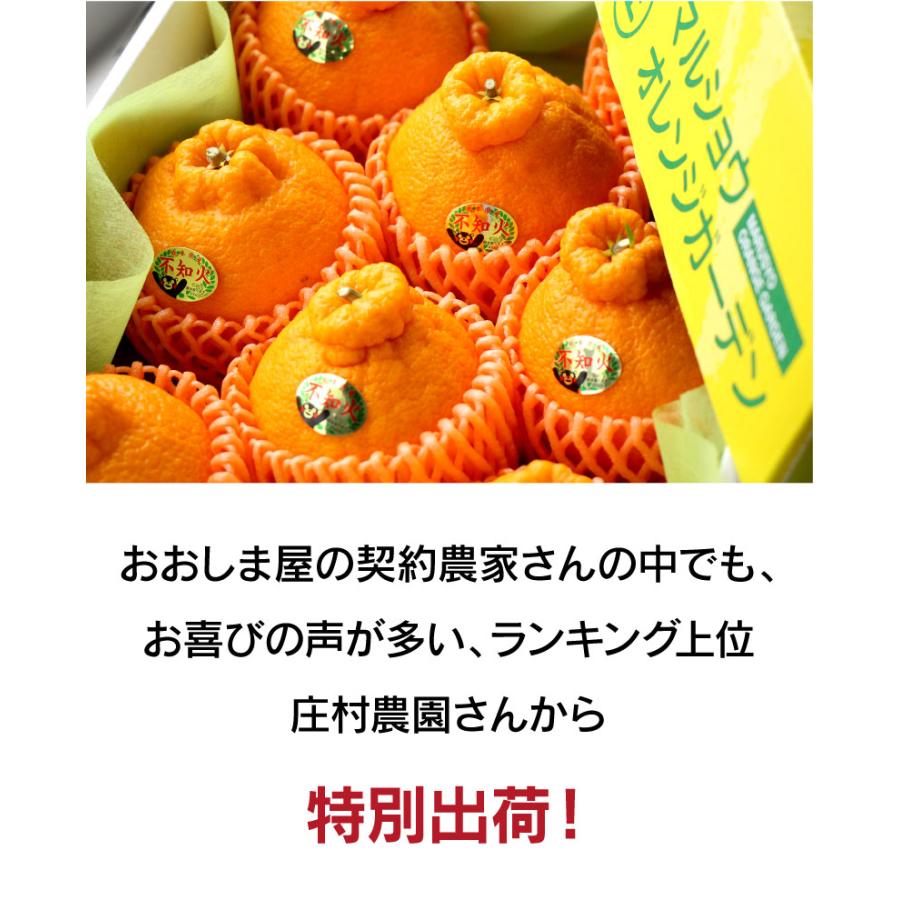 不知火 完熟 おでこちゃん ＜極み＞ 約3kg 送料無料 ＜2026年2月中旬
