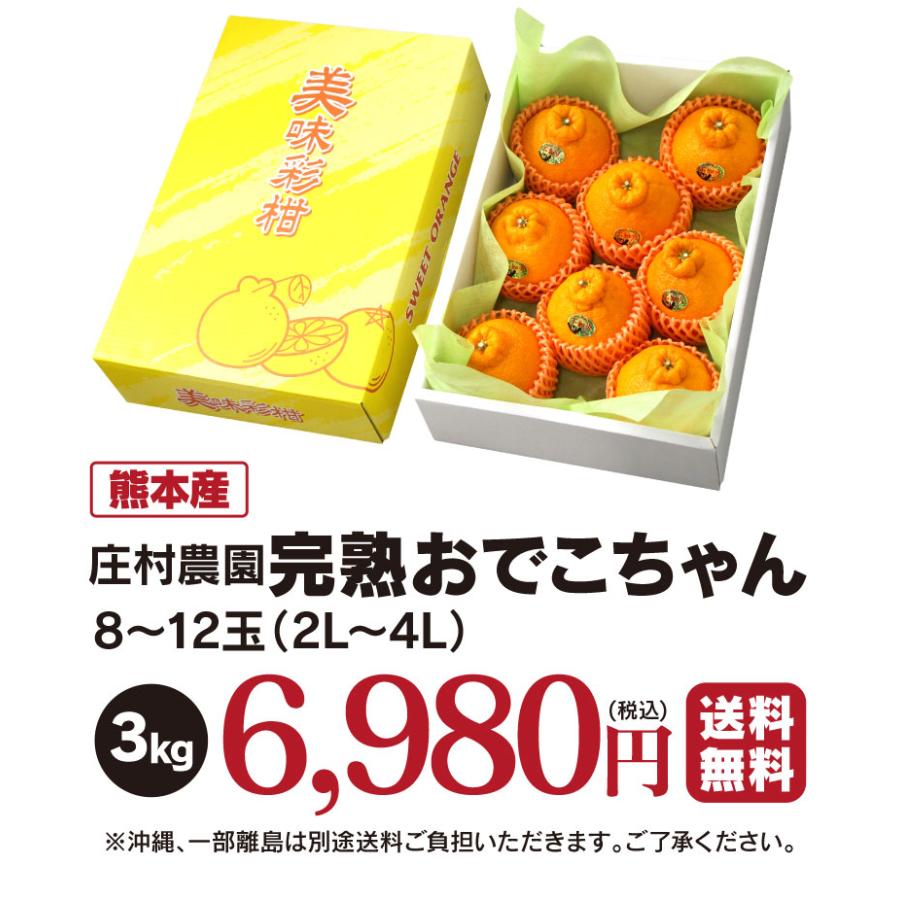 不知火 完熟 おでこちゃん ＜極み＞ 約3kg 送料無料 ＜2026年2月中旬