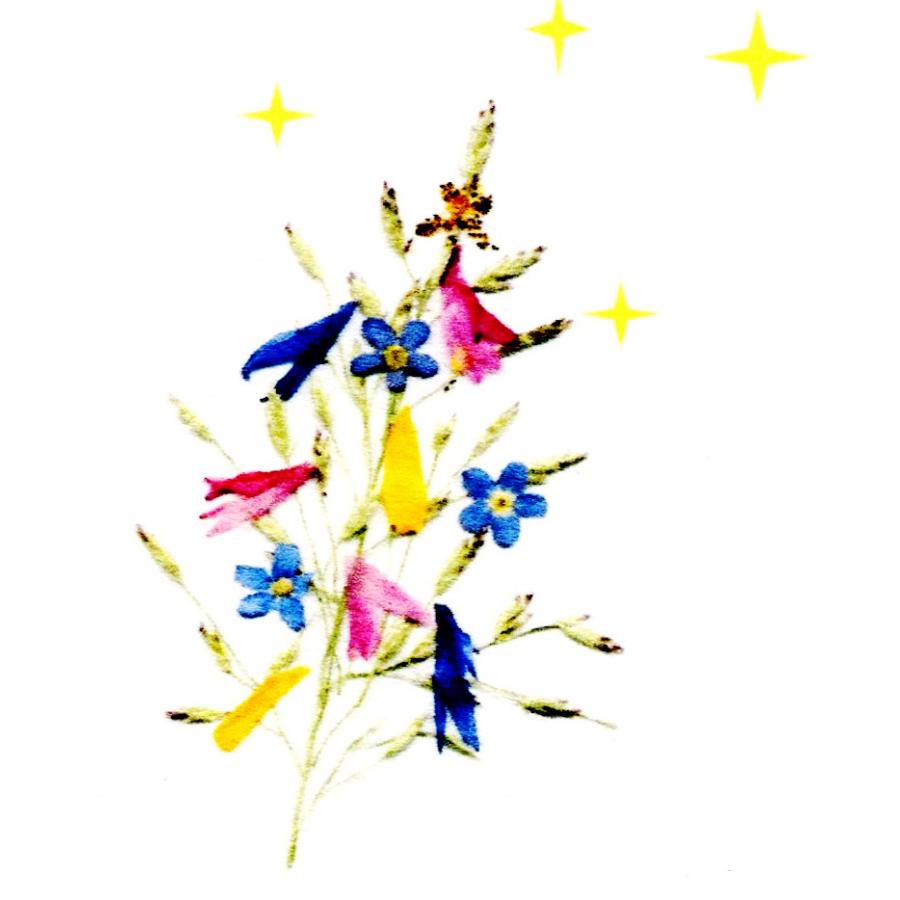 手作り 押し花プリント ポストカード 夏 はがき10ｃｍｘ１４ ８ｃｍ 七夕 Pcnnn07 押し花工房 和 通販 Yahoo ショッピング