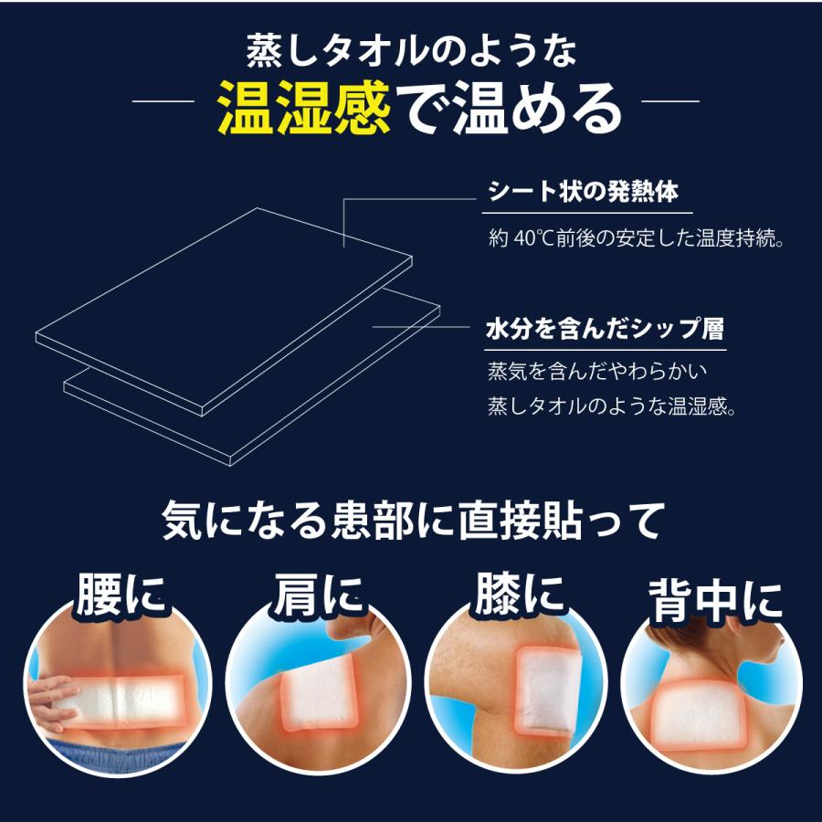 肩温蒸うるおいII 温熱 蒸気治療器 肩こり解消 リラクゼーション