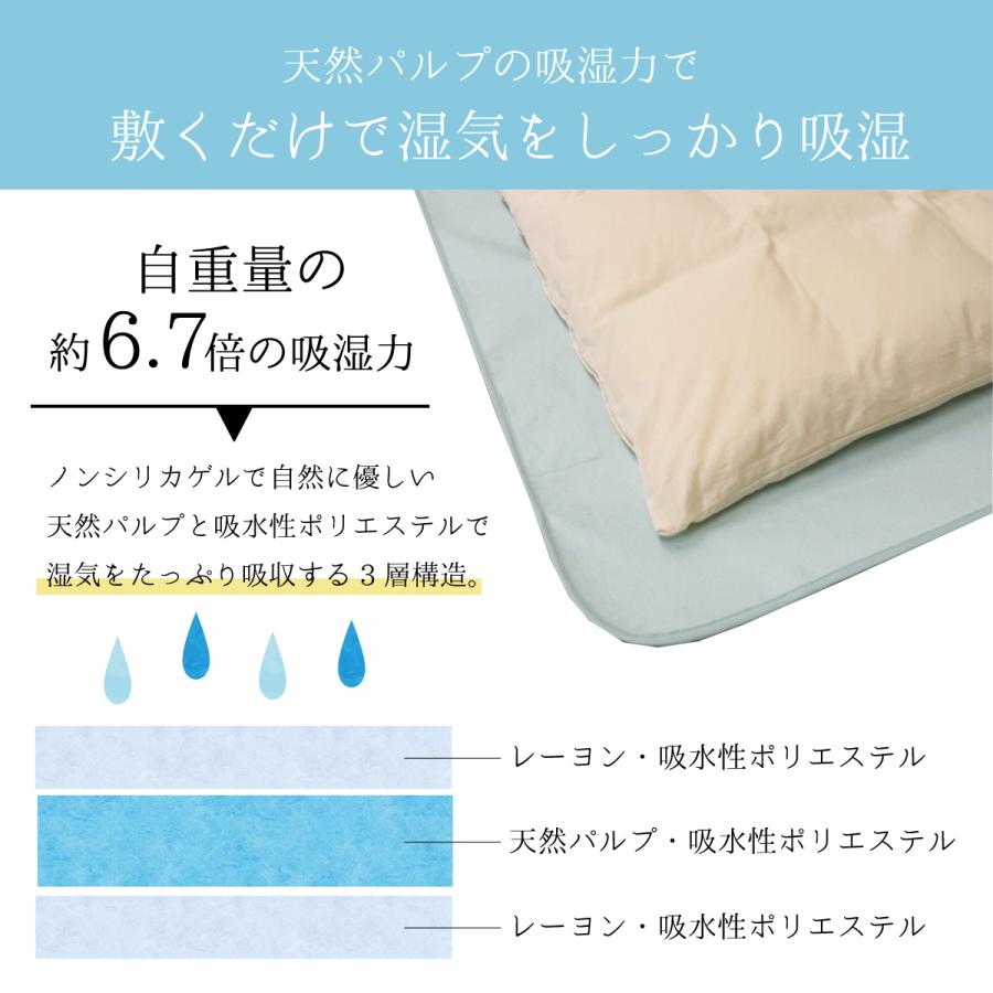 除湿シート ドライでクリーン シングル 約95×190cm cv-9004 洗える  